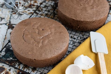 Saftiger Schoko Tortenboden - Schokoladen Schicht Torte Rezept Dr Oetker - Dayna Trantow
