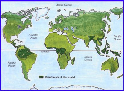 The largest rainforests are in the amazon in brazil (south america), demographic republic of congo (africa). Module Eighteen, Activity One - Exploring Africa
