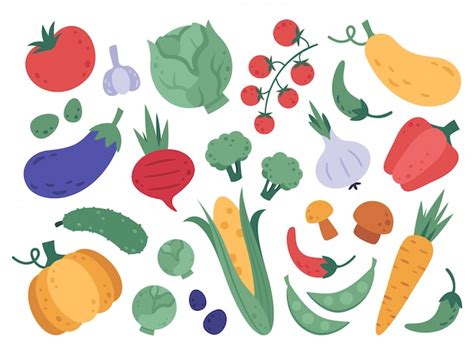 Verduras Dibujadas A Mano Vegetales De Granja Productos Naturales De