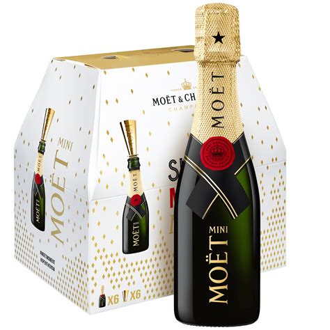 These Moët Mini Share Packs Are Perfect For Heatwave Picnics Gossie