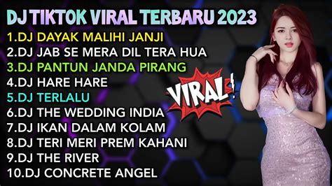 Dj Tiktok Viral Terbaru Dj Dayak Malihi Janji Remix Full Album