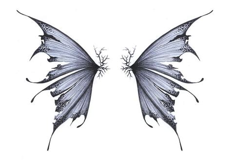 Fairy Wings 001 Fairy Wing Tattoos Wings Drawing Wings Tattoo