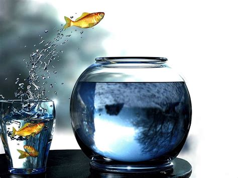 Clear Fishbowl Digital Art Goldfish Glass Fishbowls Hd Wallpaper