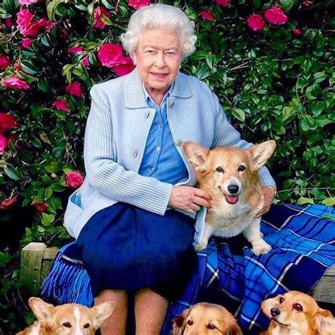 The Queen And Her Corgis Pawz And Me