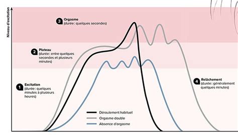 Les étapes De Lorgasme Féminin Pour La Science