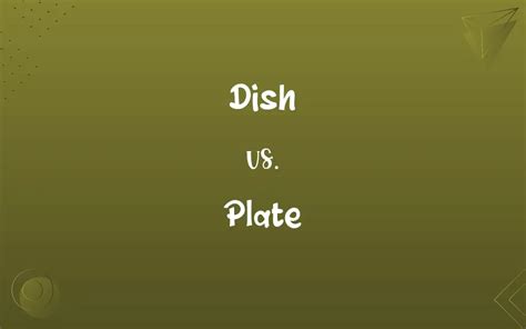 Dish Vs Plate Know The Difference