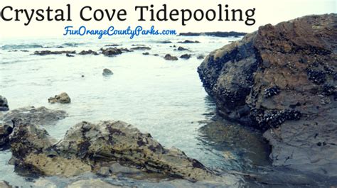 Crystal Cove State Park Tidepooling At A Natural Playground