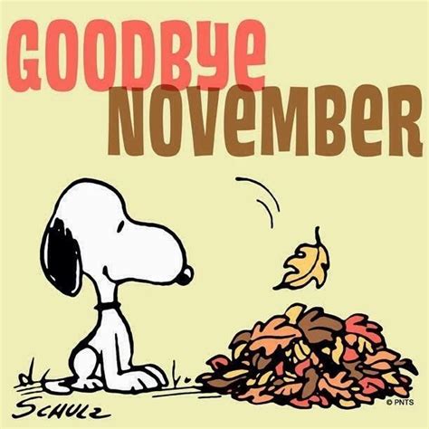 Goodbye November Snoopy Quote Pictures Photos And Images For Facebook