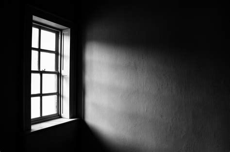 Contrast Light From A Window Free Stock Photo Public Domain Pictures