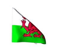 Flag of the golds, galle. Drapeau Pays de Galles Gif animé drapeau