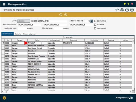 Nómina Formatos De Impresión