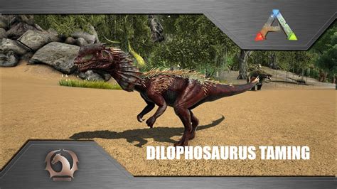 Ark Survival Evolved Dilophosaurus Taming Youtube