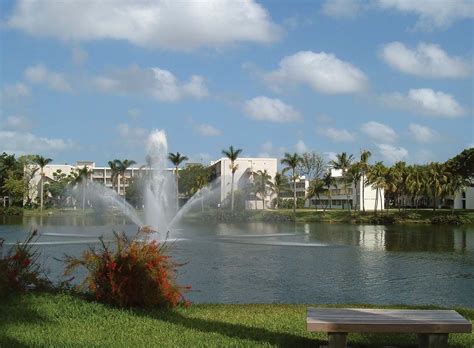 University Of Miami Research Education Athletics Britannica