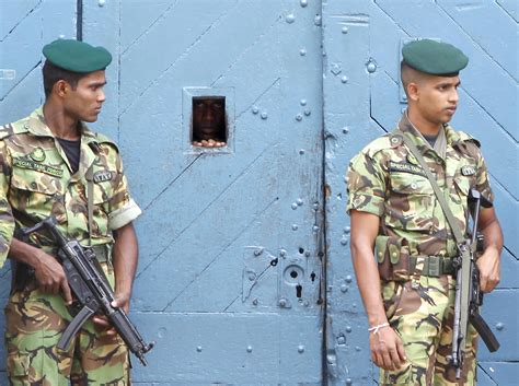Photos Sri Lankan Armed Forces Photos Militaryimagesnet