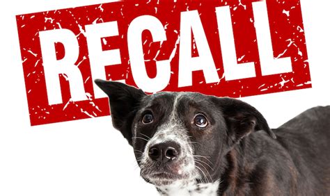 Which is a subsidiary of mars, incorporated. Dog Food Recall In 2021 - LOANKAS