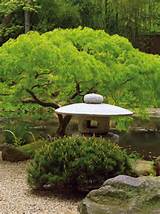 Japanese Garden Landscape Plants Photos