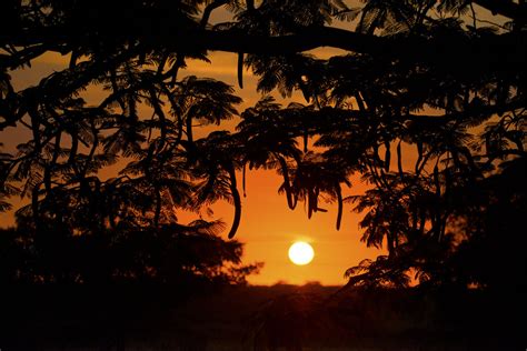Sunrise Zulu Nyala South Africa Jr Goodwin Flickr