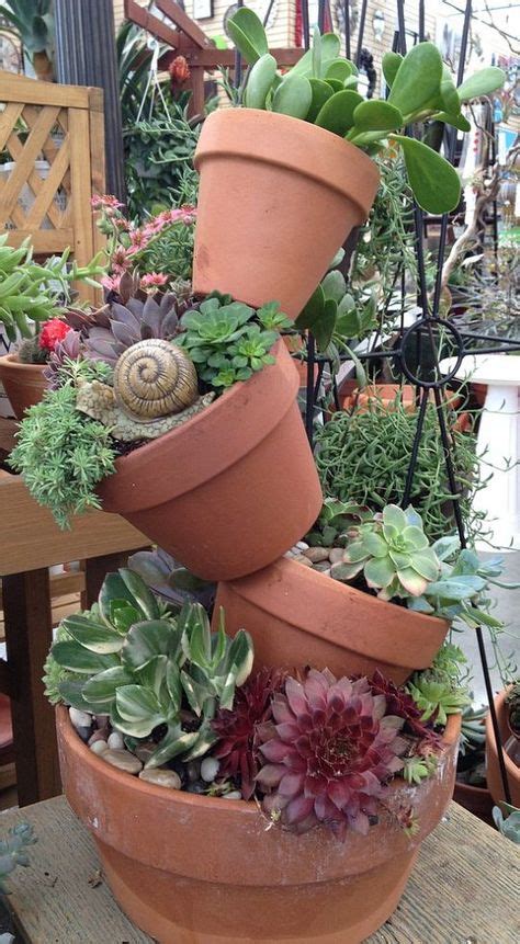 My Succulent Obsession Idea Box By A Casarella Plants Succulents