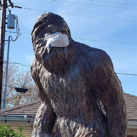 Bigfoot Sighting Dont Worry Hes Safe 🤣 Bigfootsighting Bigfoot