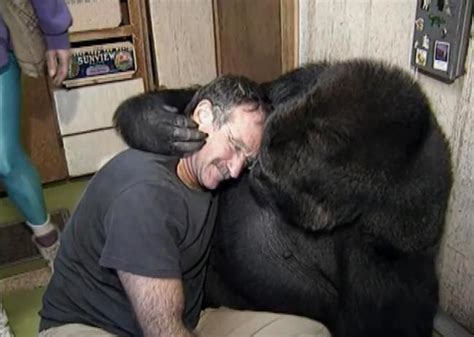 25 Heartwarming Moments When Animals Gave Big Hugs