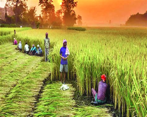 Mighty Challenges In Indian Agriculture