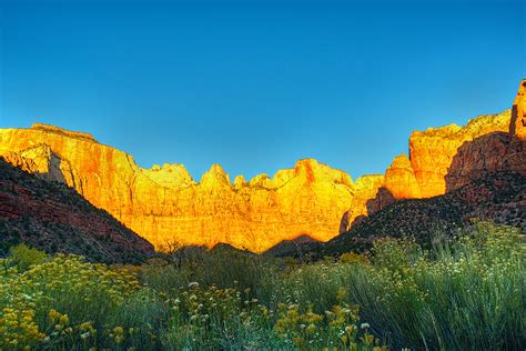 Zion Landscape