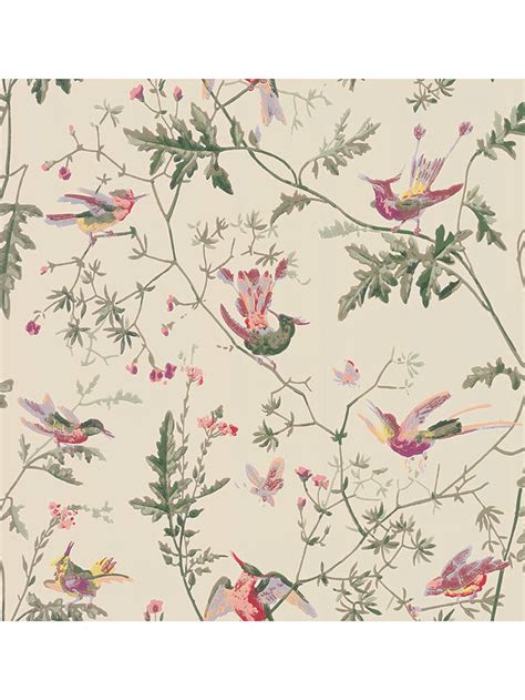 Cole And Son Hummingbirds Wallpaper At John Lewis And Partners