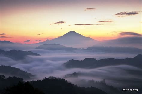 雲海と富士山 富士山見えたら‥