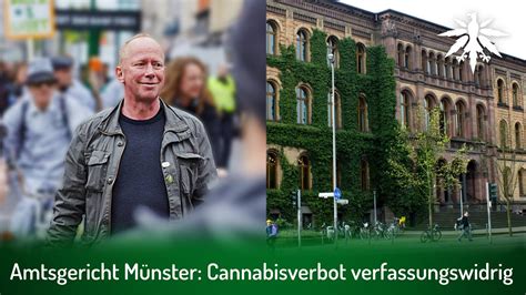 Amtsgericht Münster Cannabisverbot Verfassungswidrig Dhv Video News
