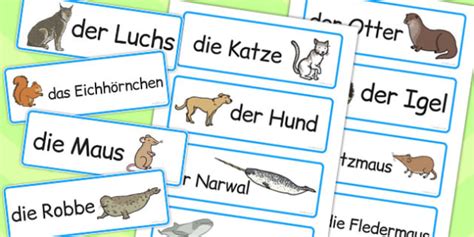 Free German Animals Word Cards Teacher Made