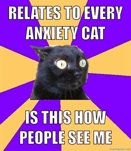 Anxiety Cat