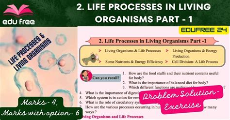 Chapter 2 Life Processes In Living Organisms Part 1 Class 10