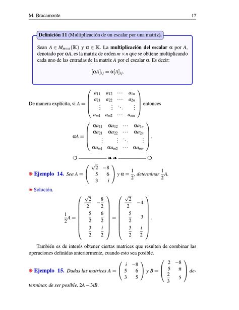 Matrices Álgebra Lineal
