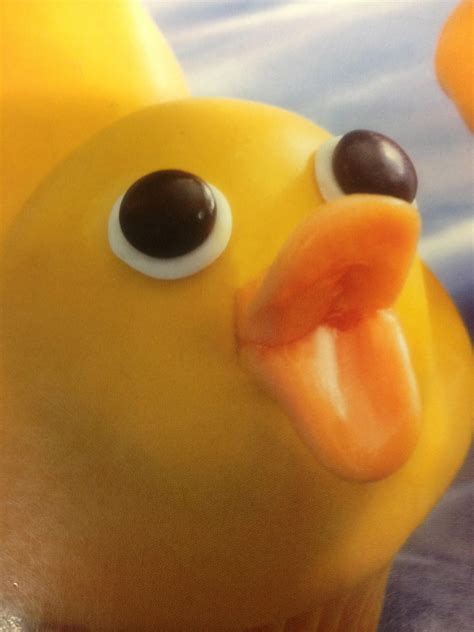 Rubber Ducky Squeak Reaction Images Know Your Meme