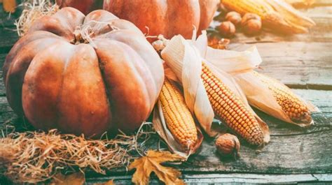 How To Throw The Best Fall Harvest Party On Your Homestead