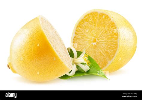 Two Halves Of Lemon With Leaf And Lemon Blossom Isolated On A White