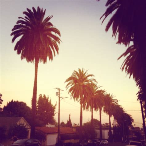 Another Beautiful Southern California Sunset Taken At Los Feliz Blvd