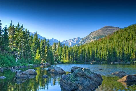 Wildlife spotting in Rocky Mountain National Park - Lonely Planet