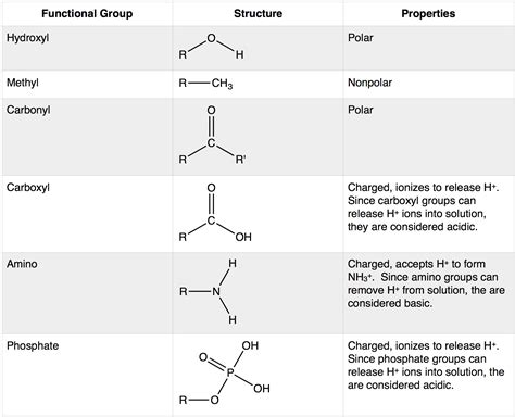 34 Functional Groups Biology Libretexts