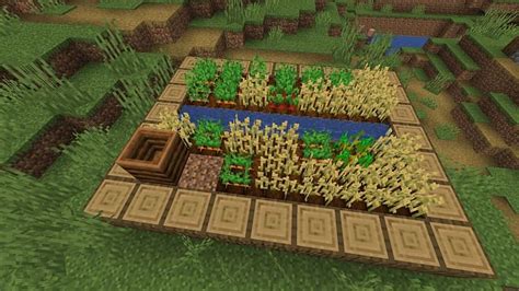 How To Make Trees Grow Faster In Minecraft 119 Update