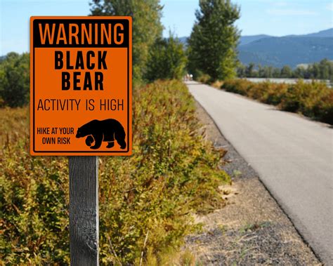 Metal Grizzly Bear Activity Warning Caution Wall Sign Outdoor Etsy