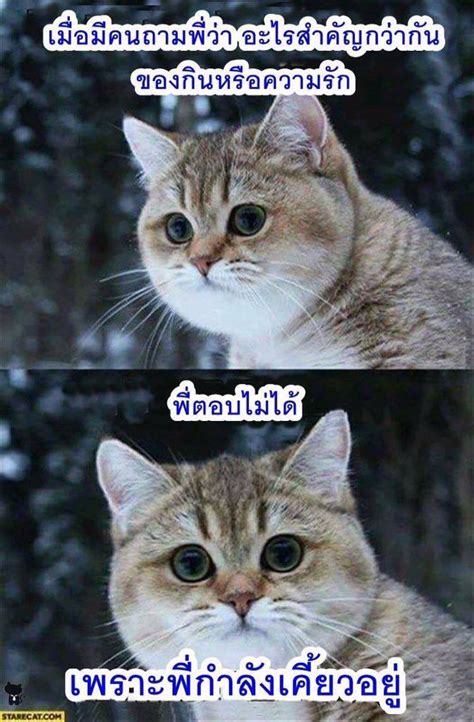 รวมรูปฮาๆ รูปที่เซฟเก็บไว้ดูตอนเครียด มีมตลกๆ รูปตลก ภาพตลก