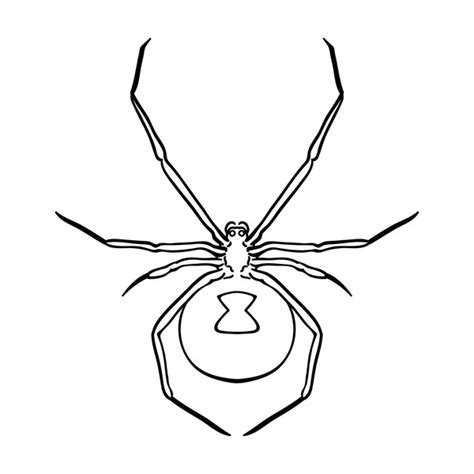 Black Widow Spider Icon In Outline Style Isolated On White Background