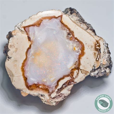Opal Thunderegg Complete Nodule Idaho Minerals