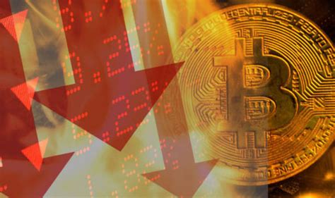 Stocks hit hard, can crypto hold if bitcoin does collapse to zero well i guess i'll just have to collapse with it. BITCOIN CRASH: How 'Tulip mania' could spark epic crypto ...