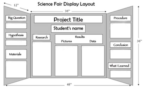 Science Fair - Science - P.S. 69K Vincent D. Grippo School