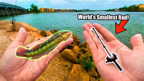 Worlds Smallest Fishing Rod Catches Tropical Aquarium Fish Youtube
