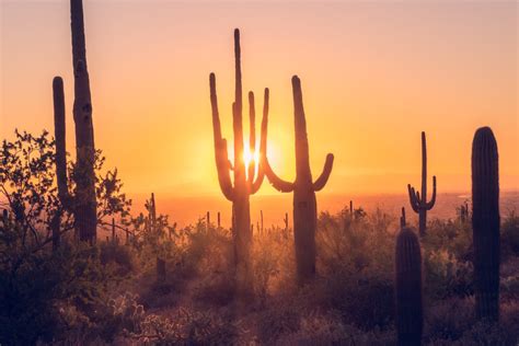 The Naked Desert Photography On Twitter Beloved