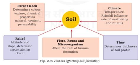 How do soils form in different places? Notes of Ch 2 Land, Soil, Water, Natural Vegetation and ...