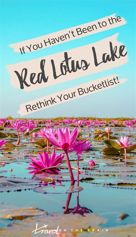 If You Havent Been To The Red Lotus Lake In Udon Thani Rethink Your